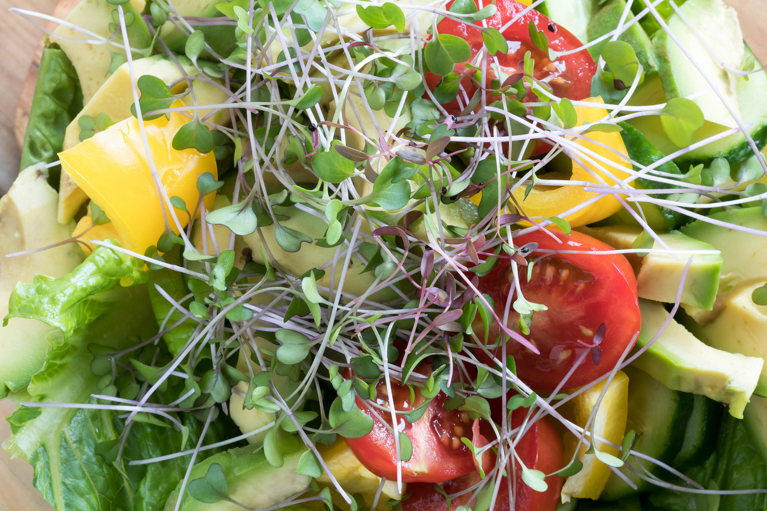 Kale and amaranth microgreens in a vegetable salad