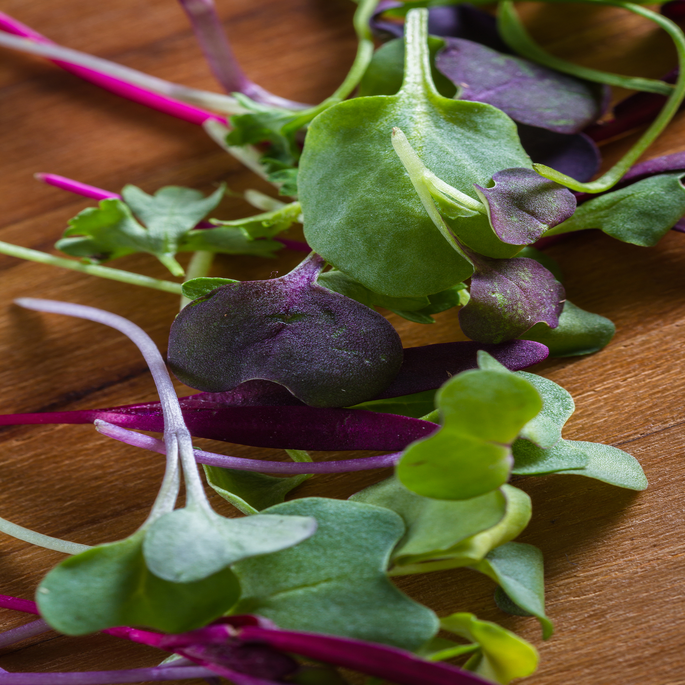 3. MICROGREEN MIXES